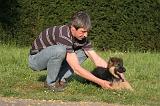 BERGER ALLEMAND 001
